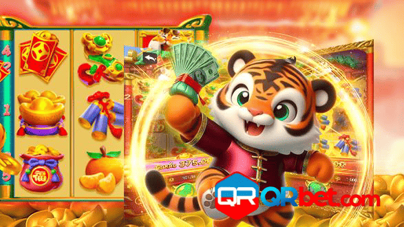 QRBET Rio de Janeiro - Bonus Terms